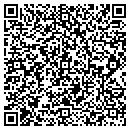 QR code with Problem Solvers Employment Service contacts