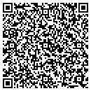 QR code with Public Storage contacts