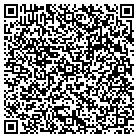 QR code with Pulsar Video Productions contacts