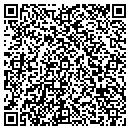 QR code with Cedar Technology Inc contacts