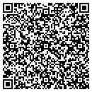 QR code with Carpet Technologies contacts