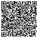 QR code with C & Co contacts