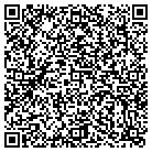 QR code with Blimpie Subs & Salads contacts