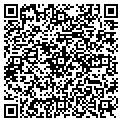 QR code with Curves contacts