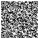 QR code with Public Storage contacts