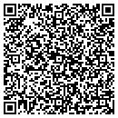 QR code with PSI Technologies contacts