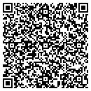 QR code with Pyramids Wireless contacts