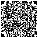 QR code with Camo Technologies Inc contacts