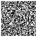 QR code with Borough of Westville contacts
