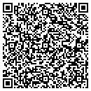 QR code with Pro Tek Electric contacts