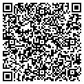 QR code with Valvic contacts