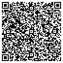 QR code with Brian Stock Painting contacts