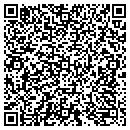 QR code with Blue Tree Books contacts