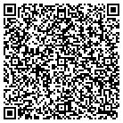 QR code with Blimpie Subs & Salads contacts