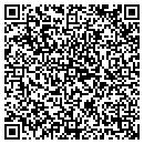 QR code with Premier Computer contacts