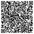 QR code with Maples contacts