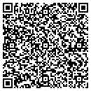 QR code with Crane Consulting Inc contacts