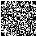 QR code with Ppi Consultants Inc contacts
