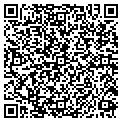QR code with Rigodon contacts