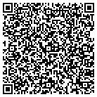 QR code with Public Works Financing contacts