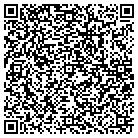 QR code with Pulaski Residence Assn contacts