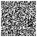 QR code with Bison Electric Inc contacts