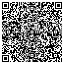 QR code with Precision Systems contacts