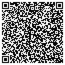 QR code with Carpet Cleaning NYC contacts