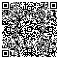 QR code with K Line contacts
