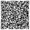 QR code with Premiere Conferencing contacts