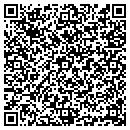 QR code with Carpet Solution contacts