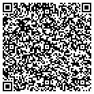QR code with Public Service Entp Group contacts