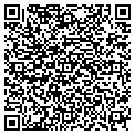 QR code with Tilcon contacts
