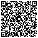 QR code with Pfizer contacts