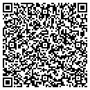 QR code with Cummins James D & Co contacts