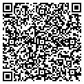 QR code with Y Font contacts