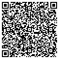 QR code with AMS contacts
