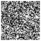 QR code with Cichetti & Sons Home Imprv contacts