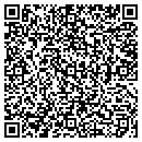 QR code with Precision Performance contacts