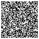 QR code with Prismz Colour Group LLC contacts