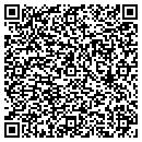 QR code with Pryor Consulting LLC contacts