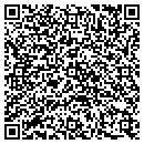 QR code with Public Storage contacts