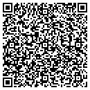 QR code with Professional Consult contacts
