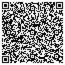 QR code with Carl O Deangelis Esq contacts