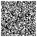 QR code with Cinnamon Bagel Cafe contacts