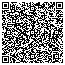 QR code with Bisson Motor Sales contacts