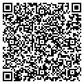 QR code with Tolimo contacts