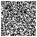 QR code with Carroll Mc Nulty & KULL contacts