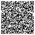 QR code with Amvets contacts