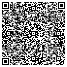 QR code with Professional Dry Cleaners contacts